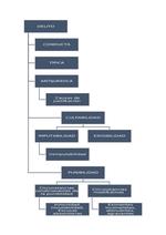 Esquema Del Delito